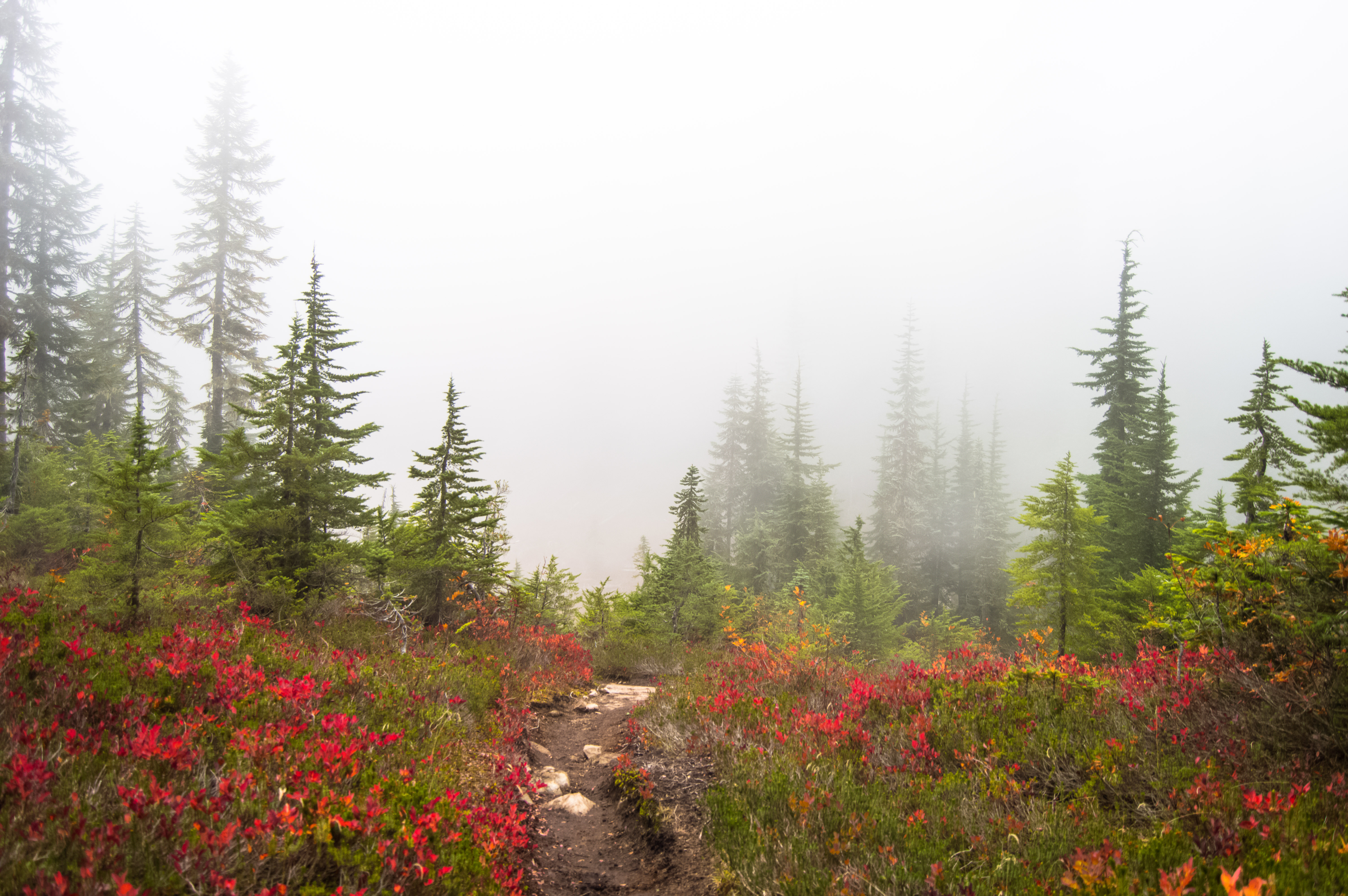 Hike to Margaret Lake