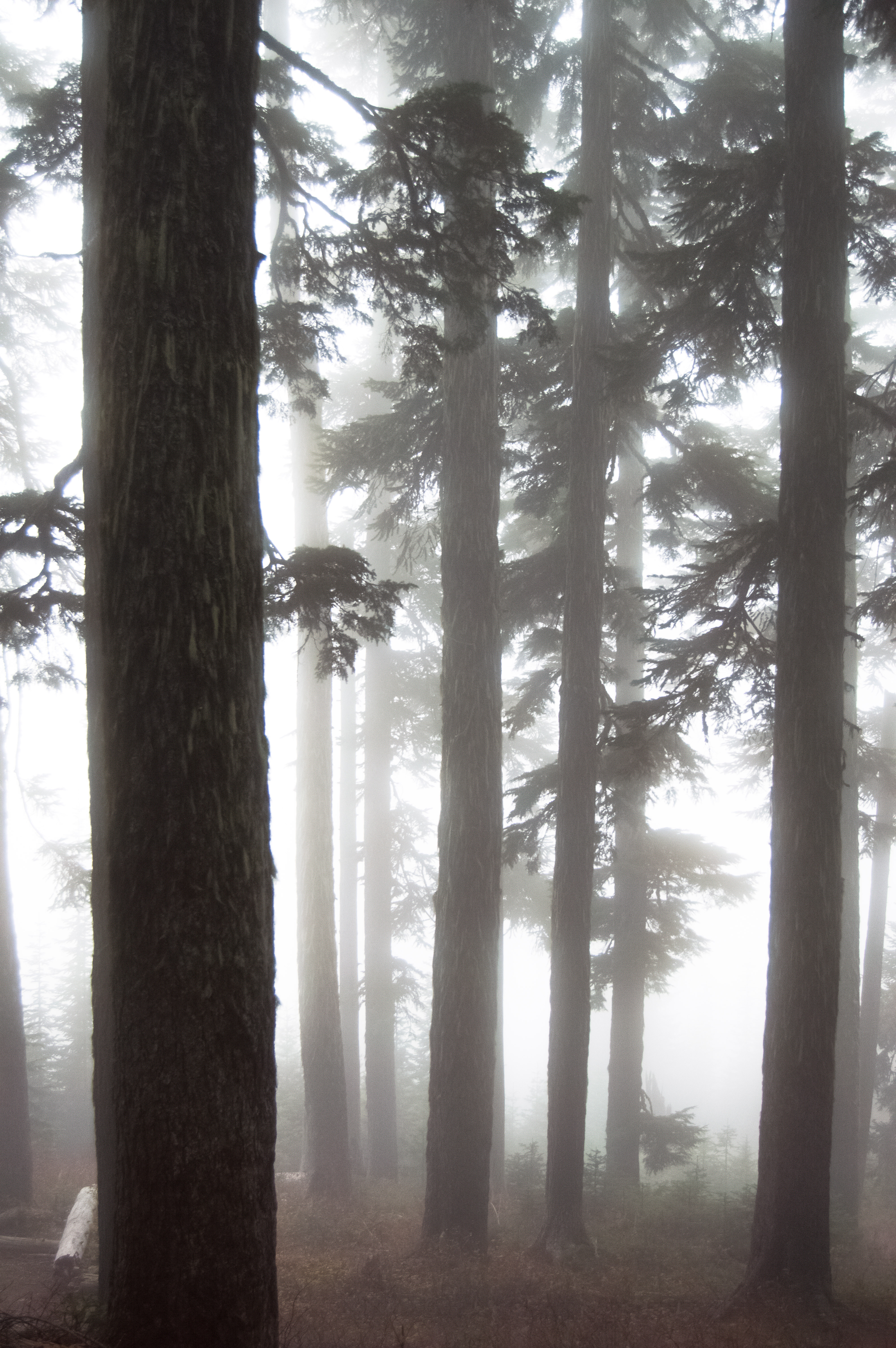 Hike to Margaret Lake