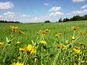 5 Reasons To Love The Prairie