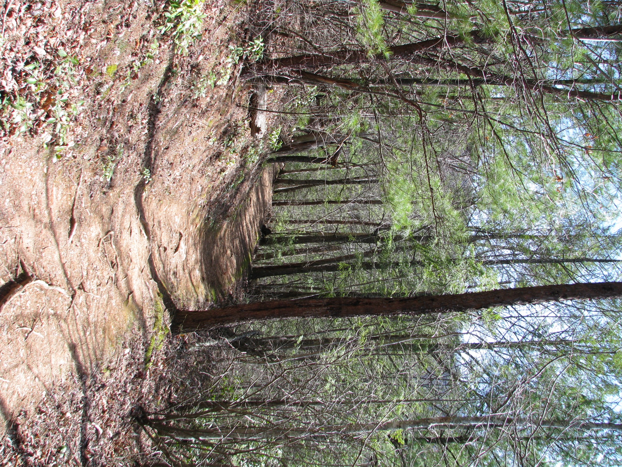 Hike to Upper Meigs Falls
