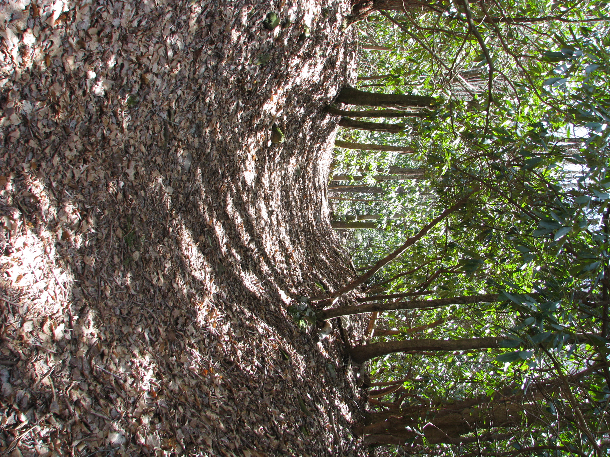 Hike to Upper Meigs Falls