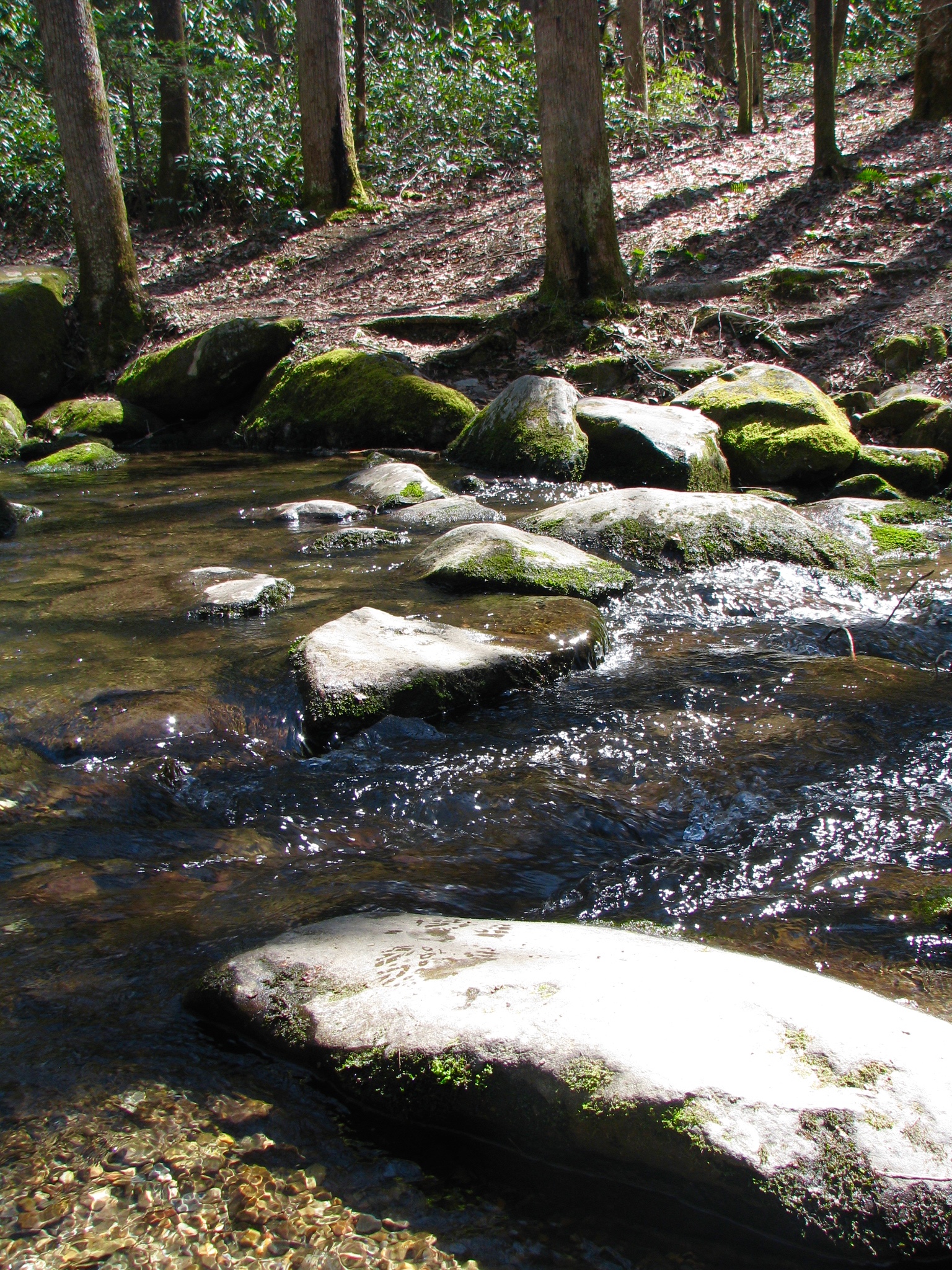 Hike to Upper Meigs Falls