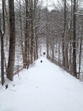 Hike Scarlet Oak Woods 