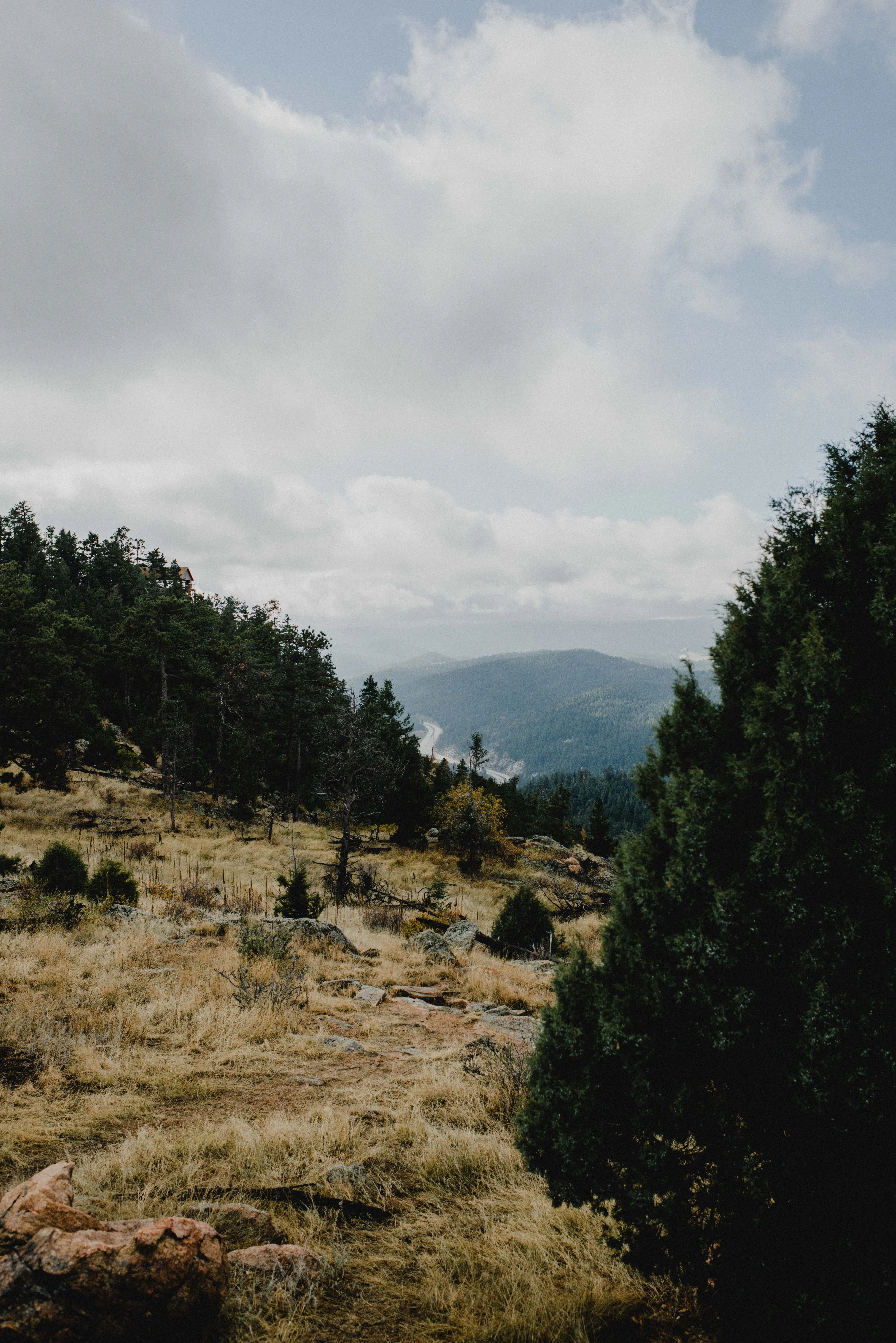 Mount Falcon Loop