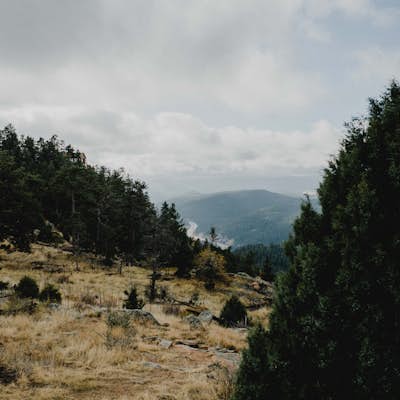 Hike Mount Falcon 