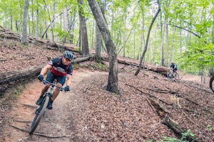 Mountain Bike Chicopee Woods' Flying Squirrel Trail