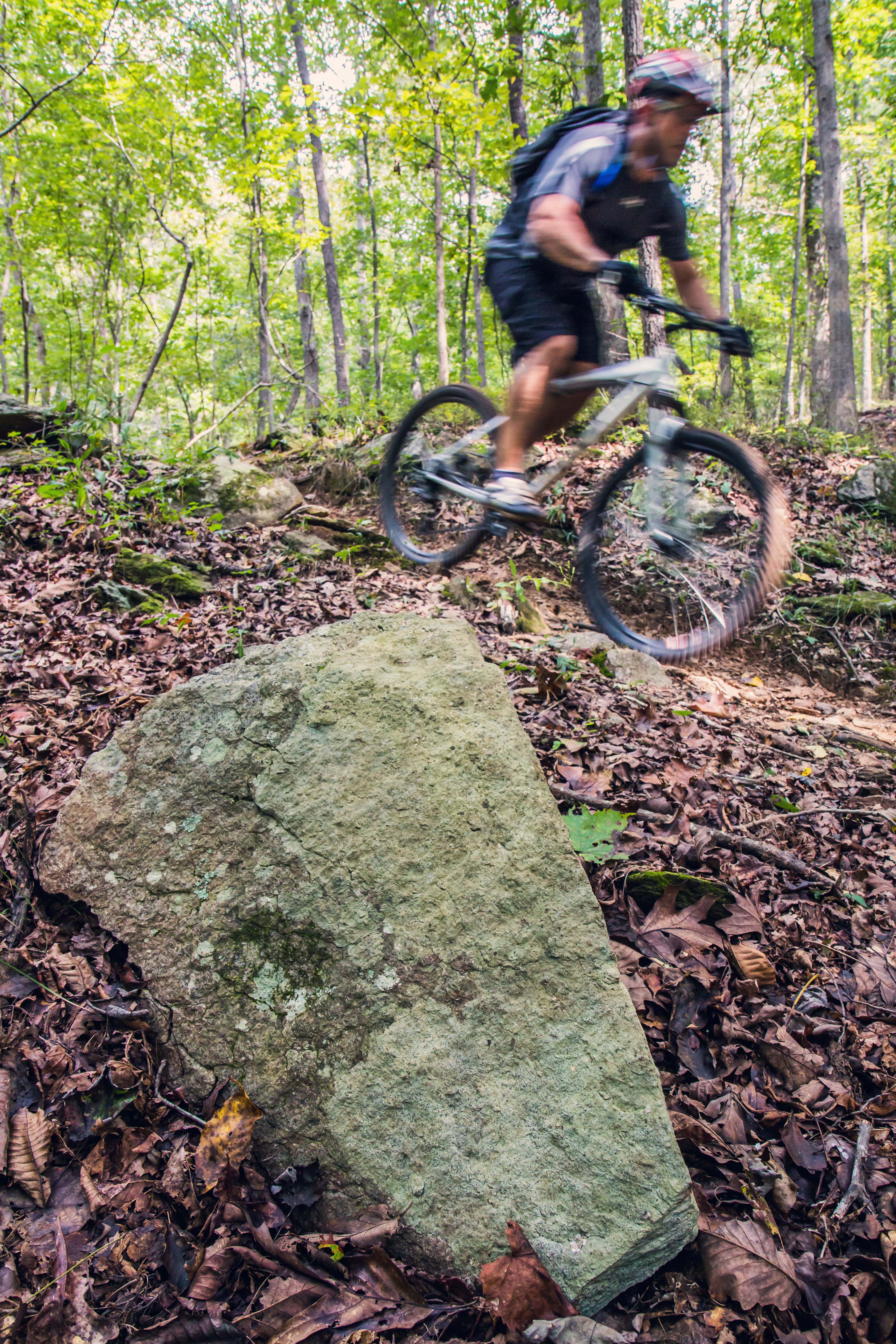 Mountain Bike Chicopee Woods' Flying Squirrel Trail