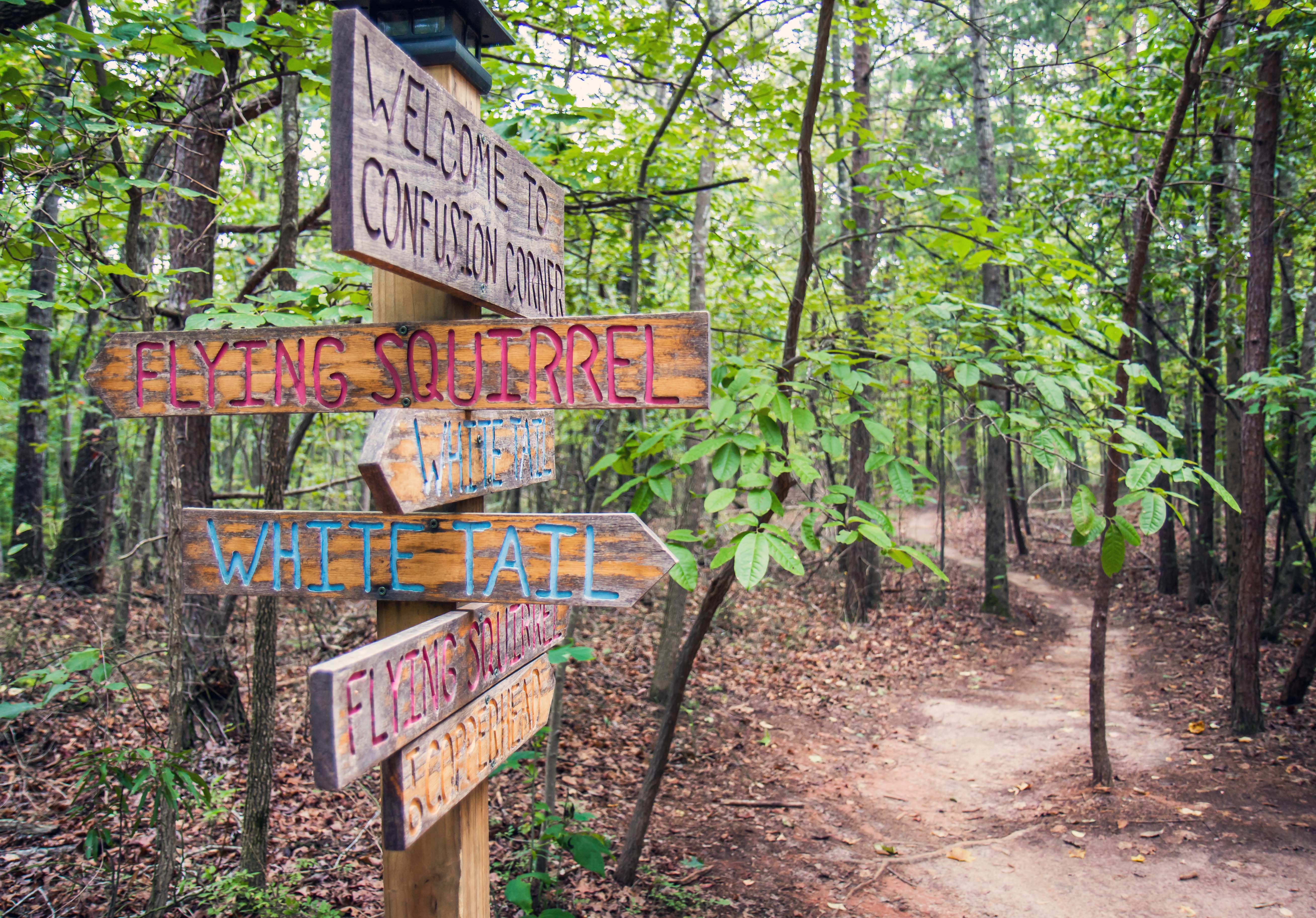 Mountain Bike Chicopee Woods' Flying Squirrel Trail