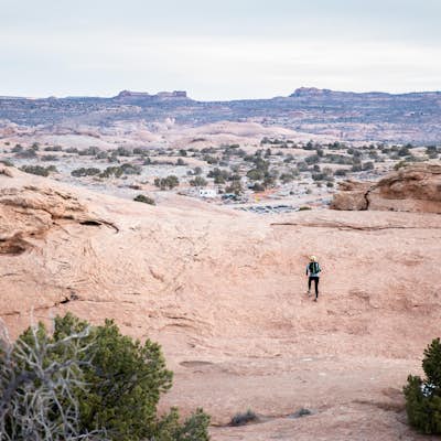 Trail Run Moab's Slickrock Trail