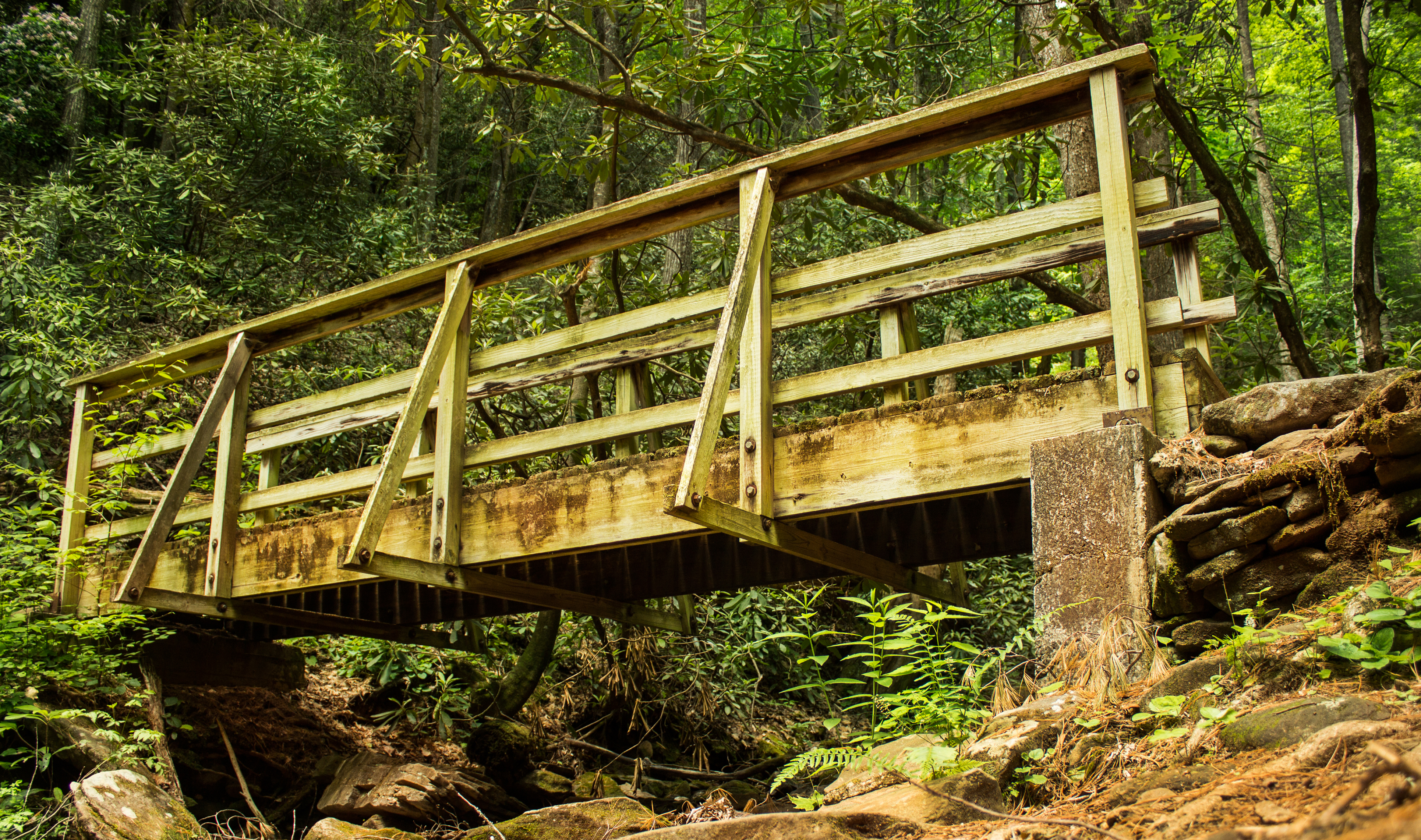 Hike to Desoto Falls, Georgia