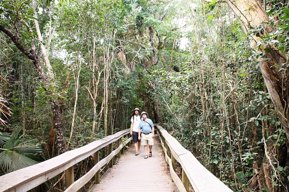 Walk the Mahogany Hammock Trail in Everglades NP, Everglades National Park