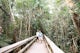 Walk the Mahogany Hammock Trail  in Everglades NP