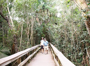 Walk the Mahogany Hammock Trail  in Everglades NP