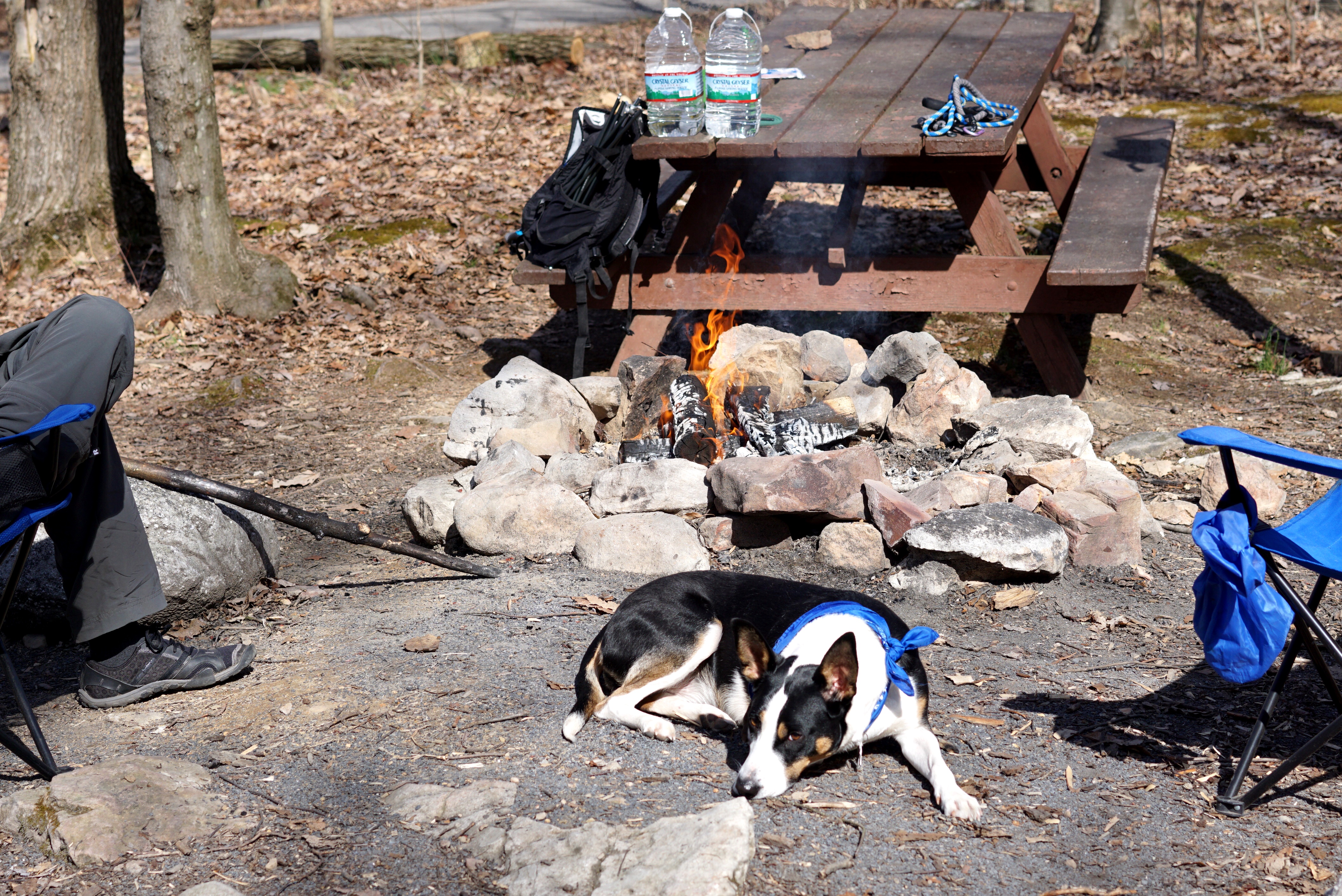 Camp at Wolf Gap 