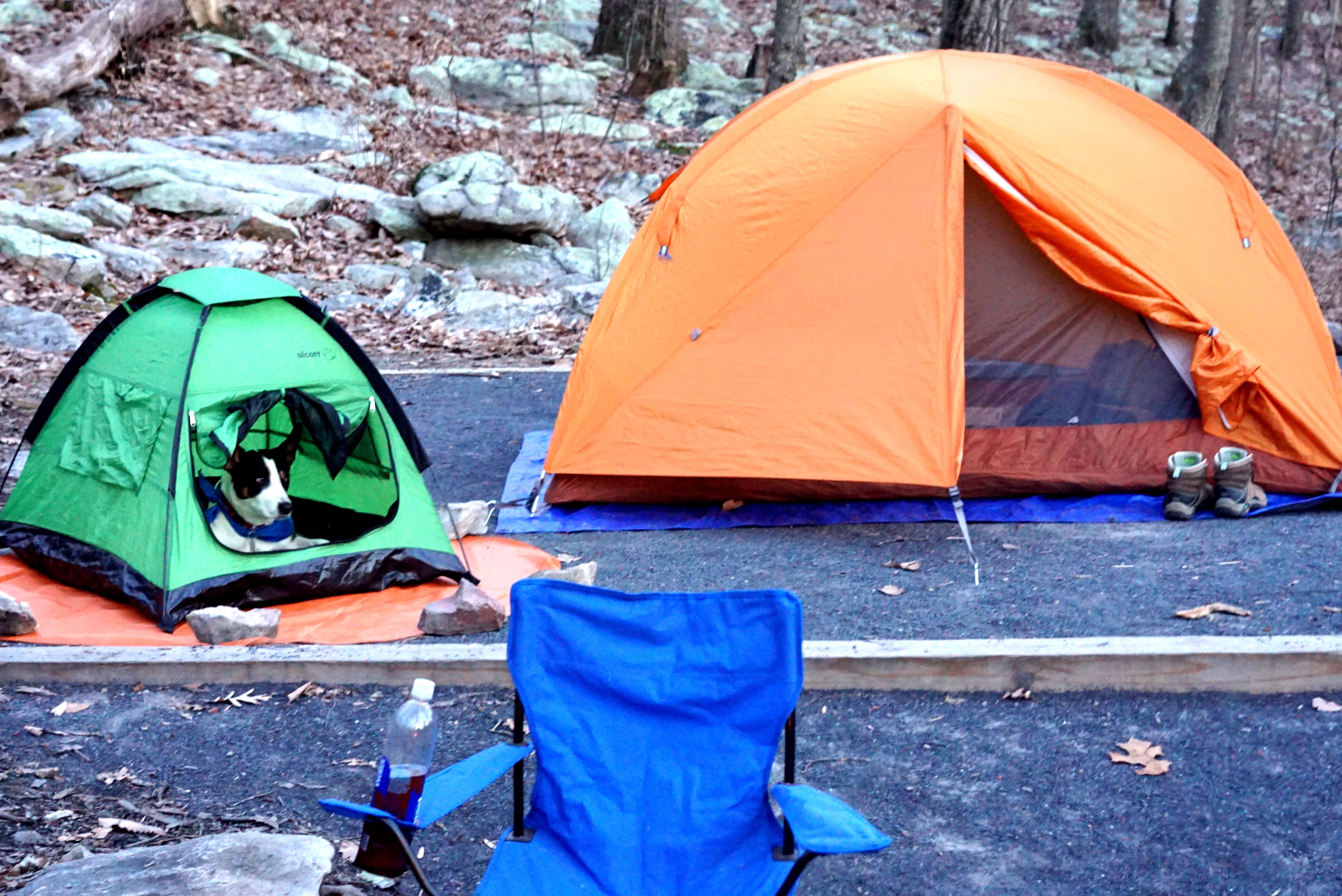 Camp at Wolf Gap 