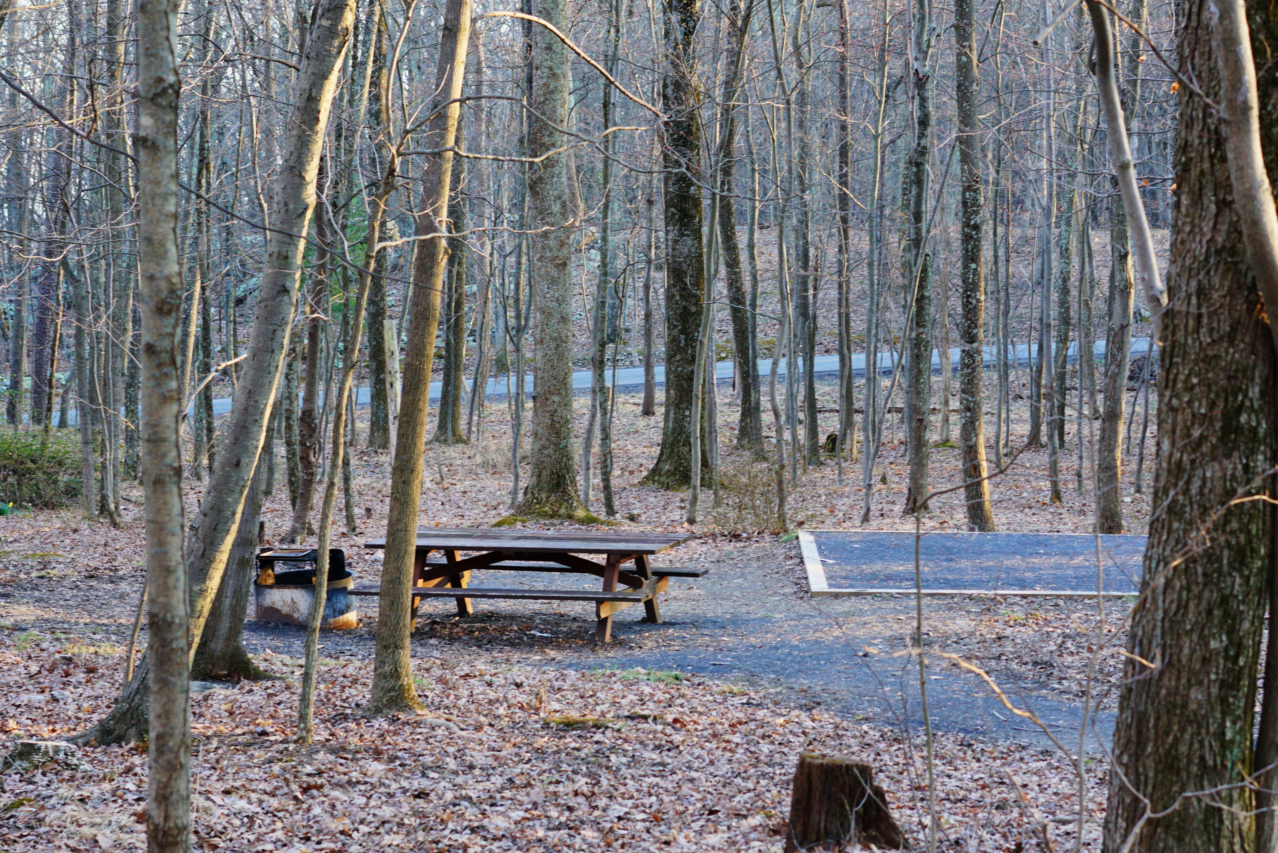 Camp at Wolf Gap 