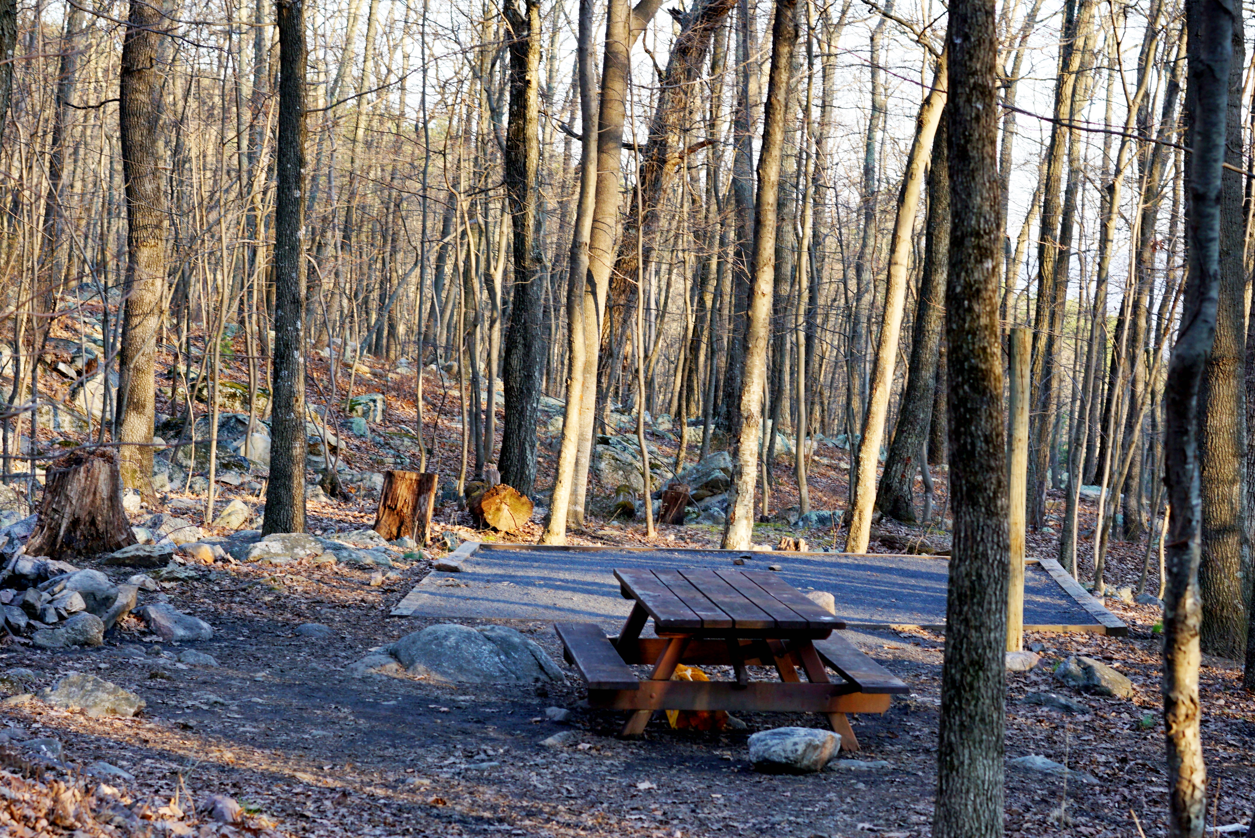 Camp at Wolf Gap 