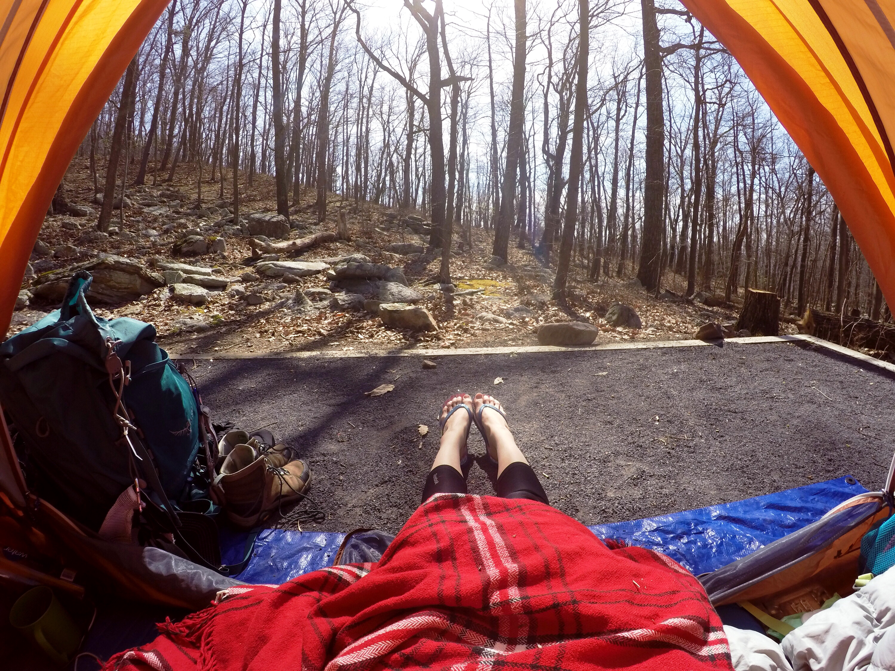 Camp at Wolf Gap 