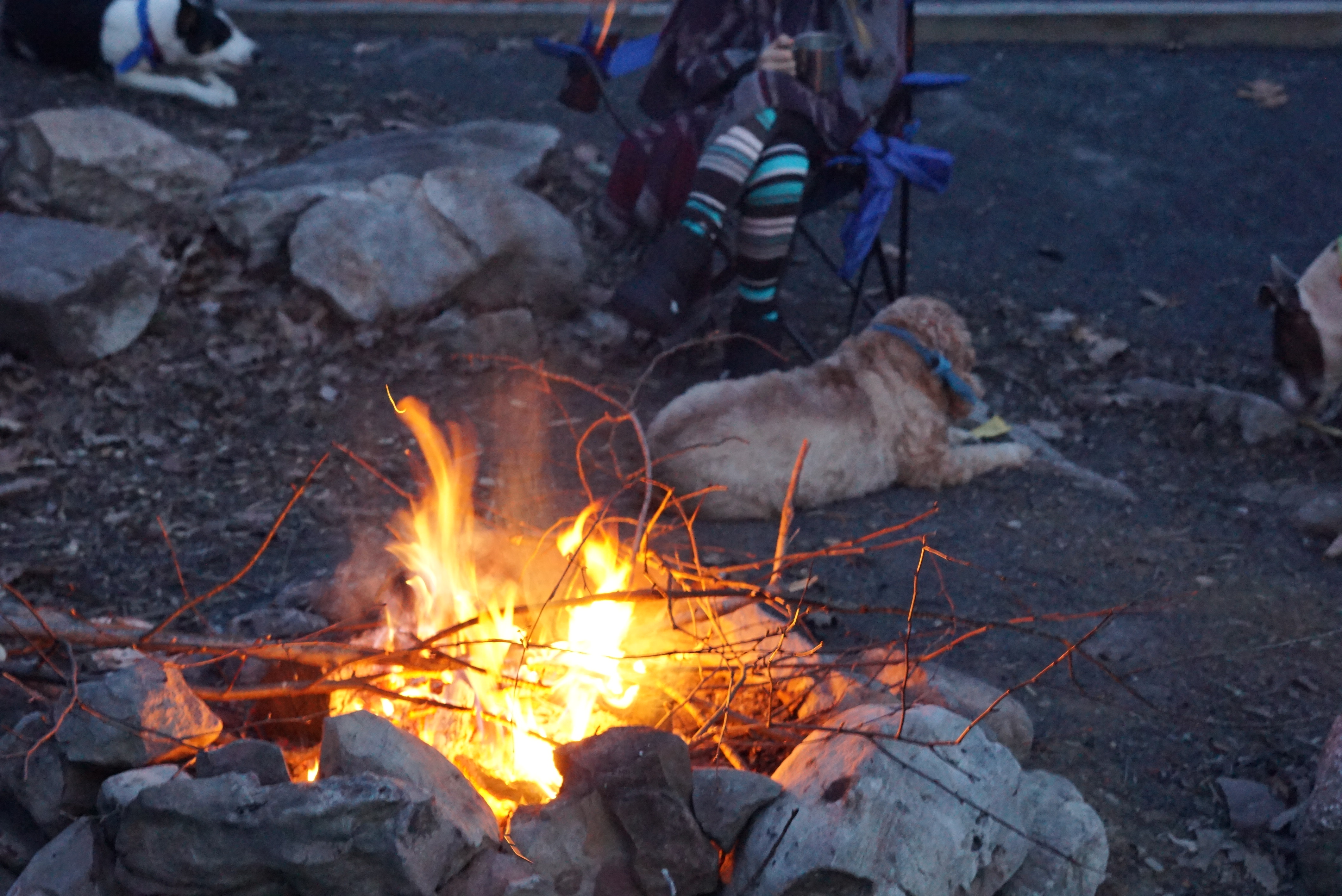 Camp at Wolf Gap 