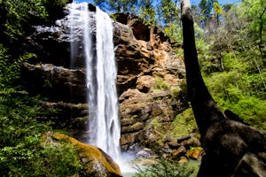 Explore Toccoa Falls