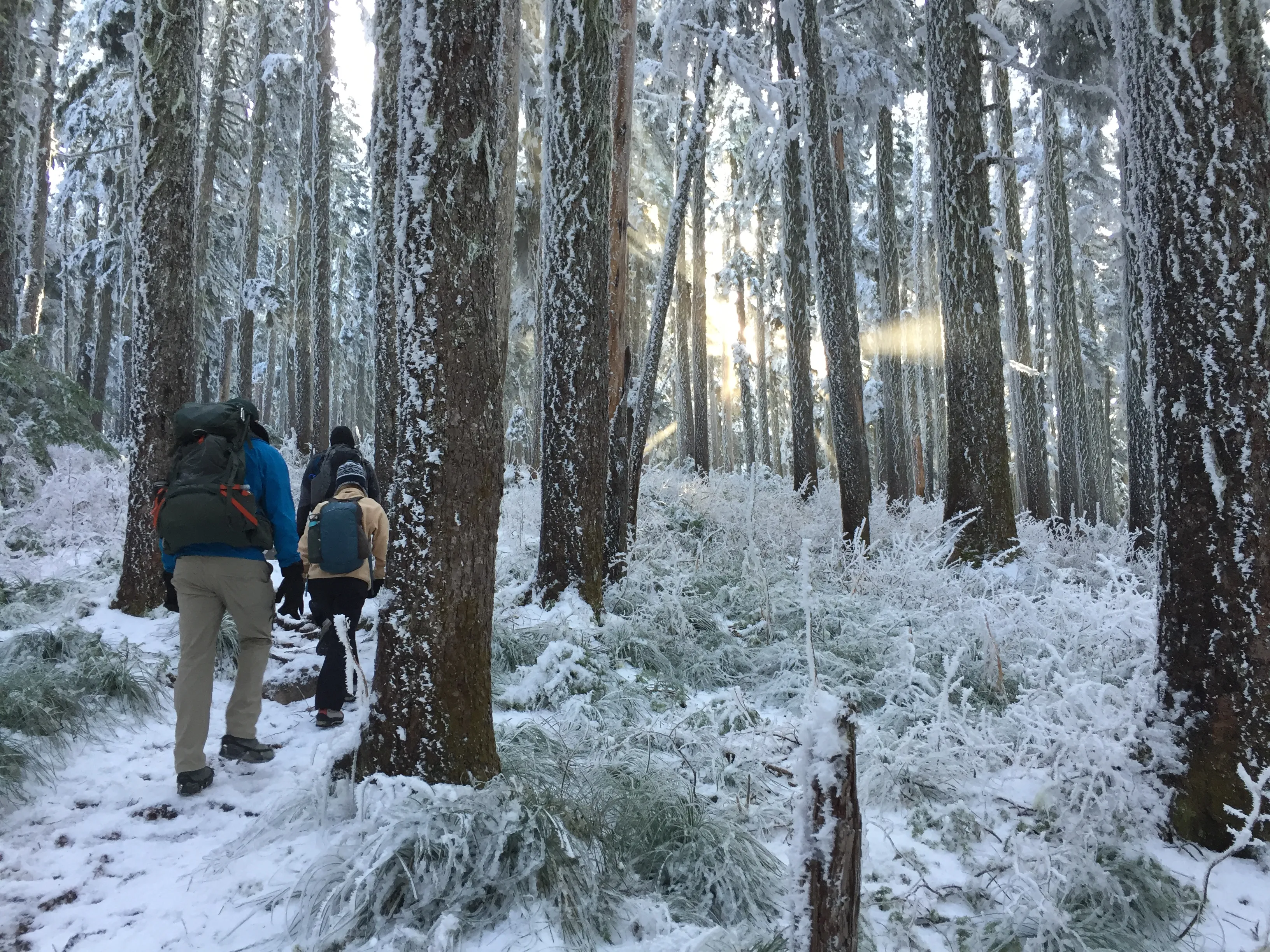 Hike to Sandy Glacier Caves