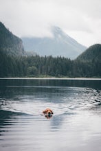 Hike to Wallace Lake via Greg Ball Trail