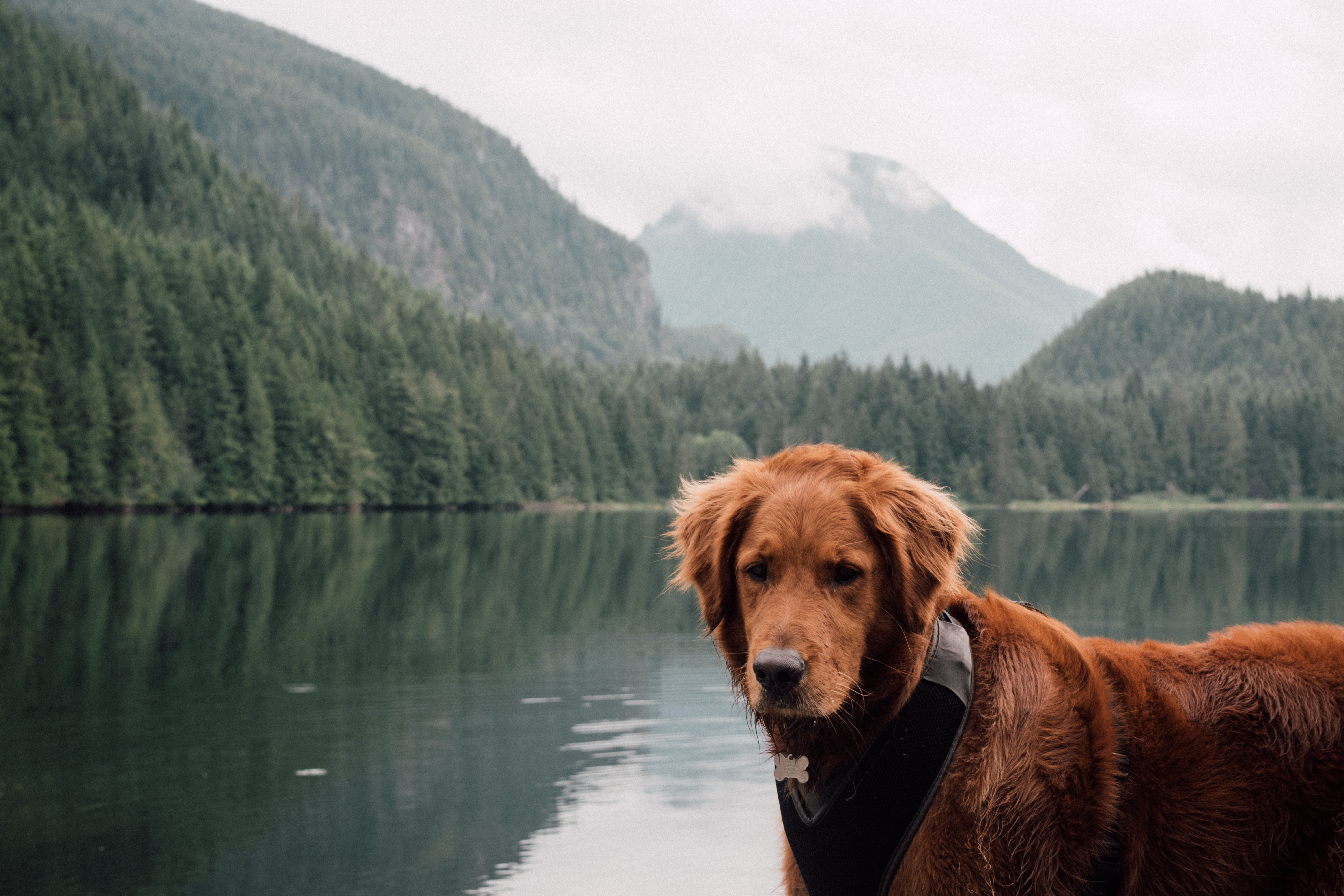 Hike to Wallace Lake via Greg Ball Trail