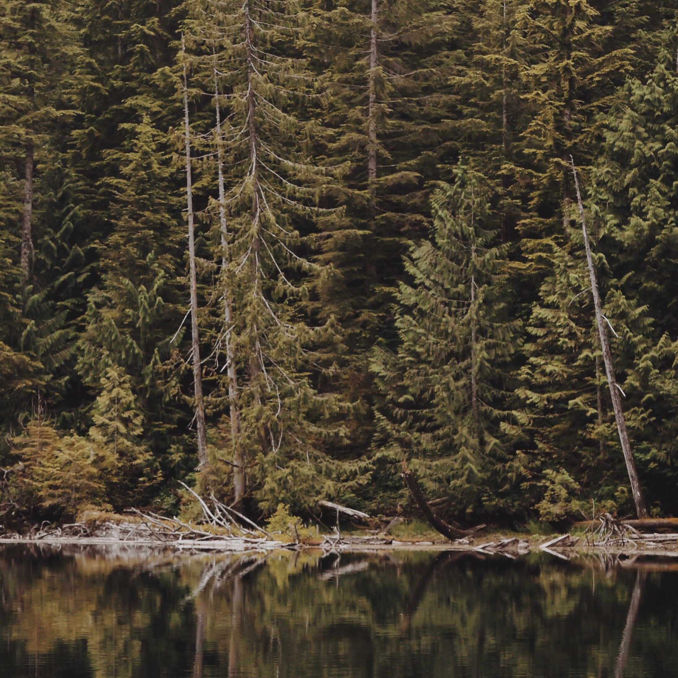 Hike to Wallace Lake via Greg Ball Trail