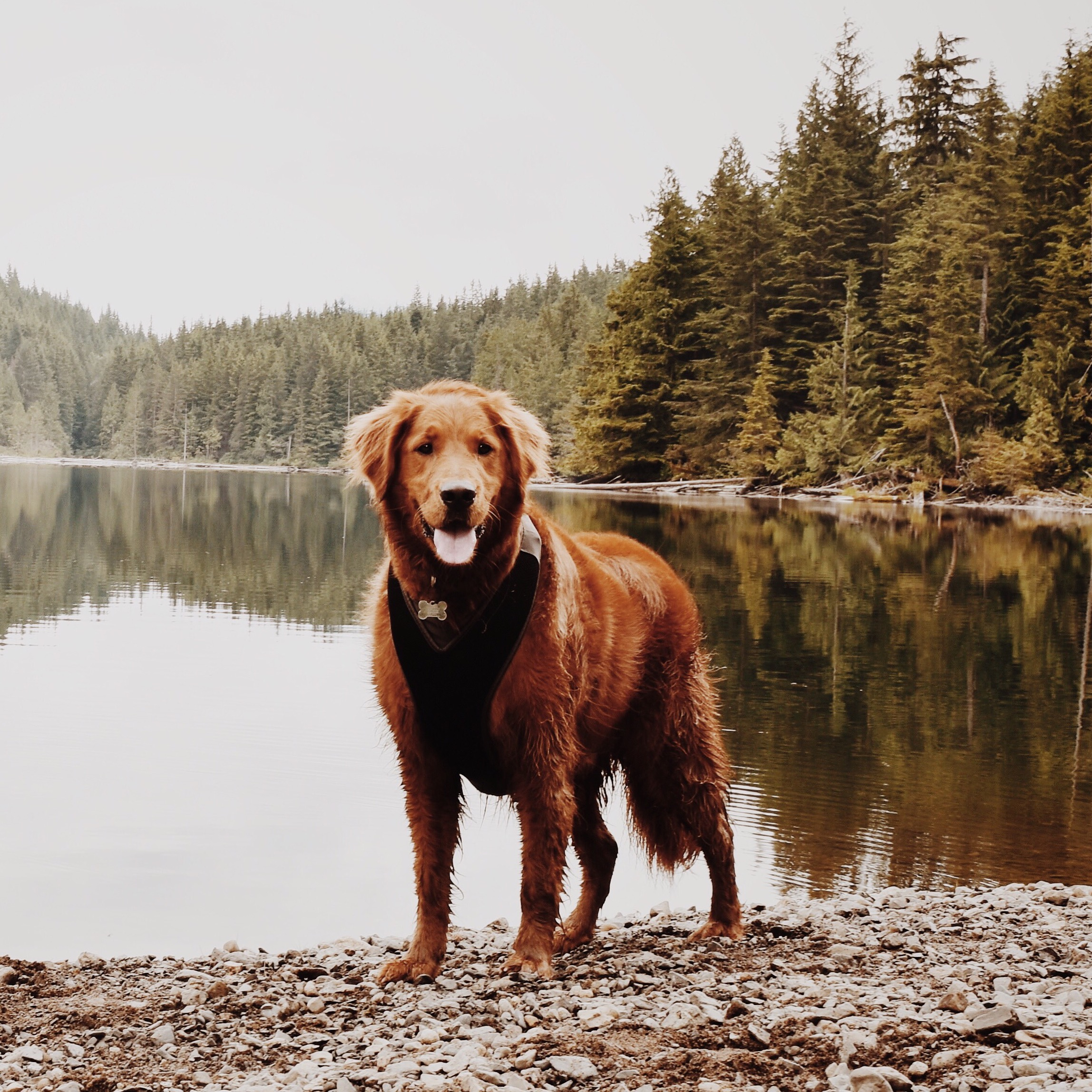 Hike to Wallace Lake via Greg Ball Trail