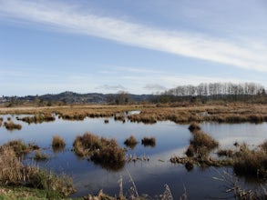 Airport Dike Trail