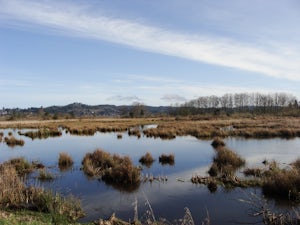 Airport Dike Trail