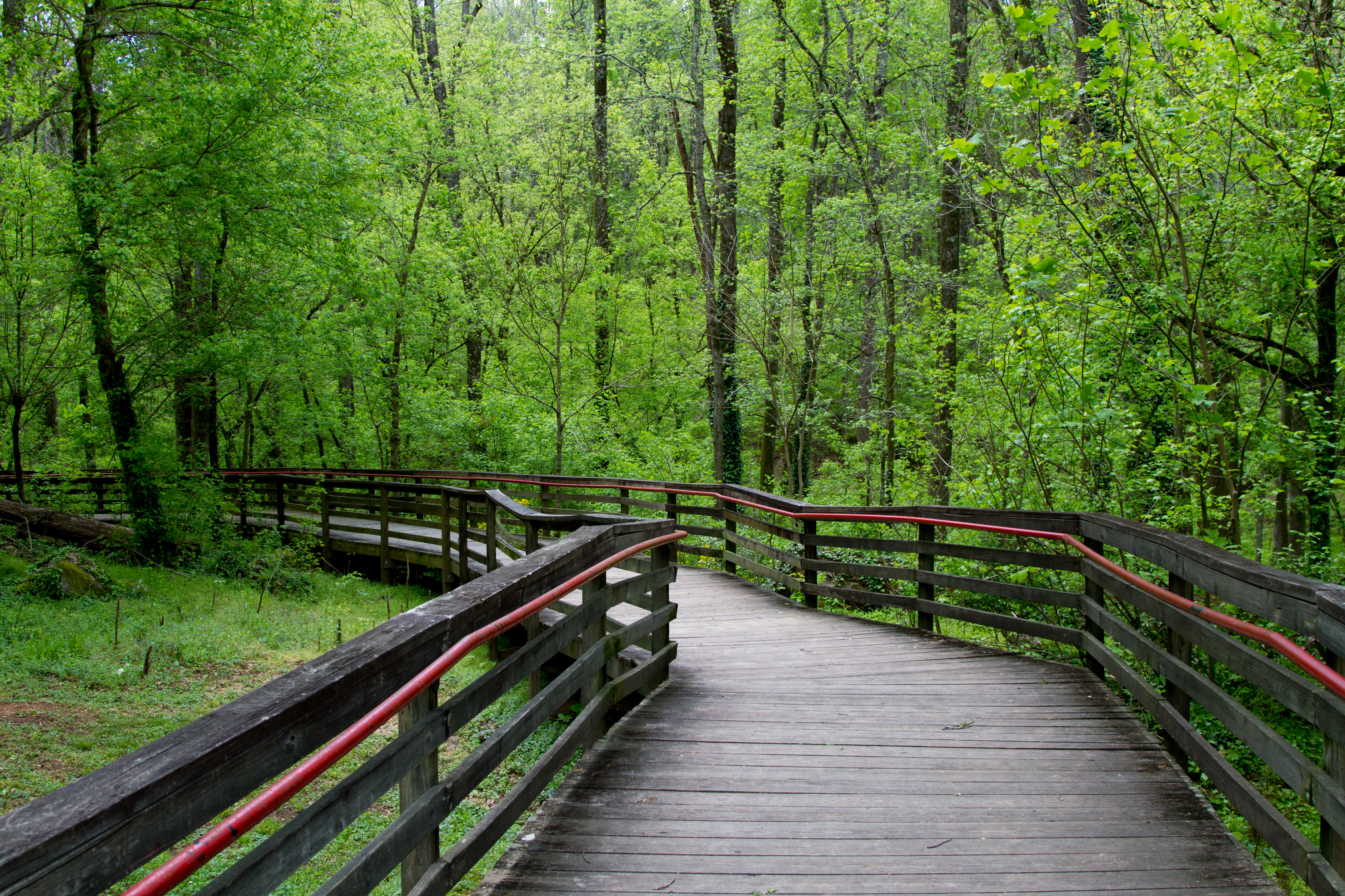 Hike the Cascade Springs Trail, Atlanta,