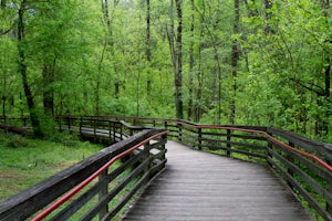 Hike the Cascade Springs Trail