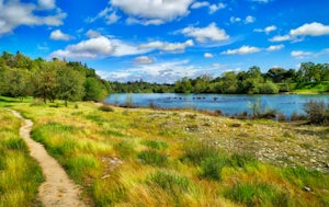 Hike through the Effie Yeaw Nature Preserve