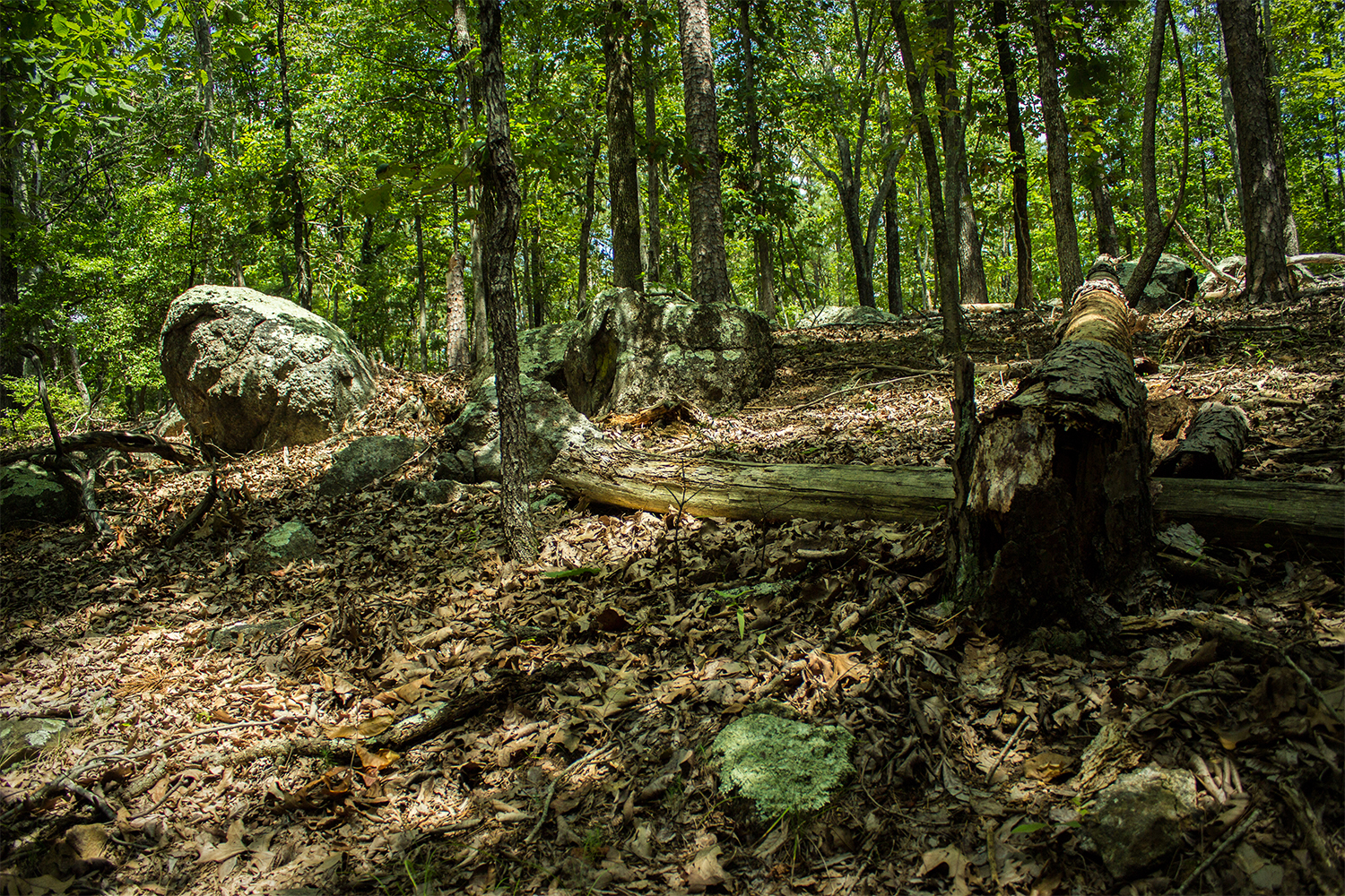 Hike and Swim at Red Top Mountain