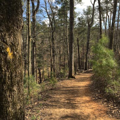 Hike the Homestead Trail