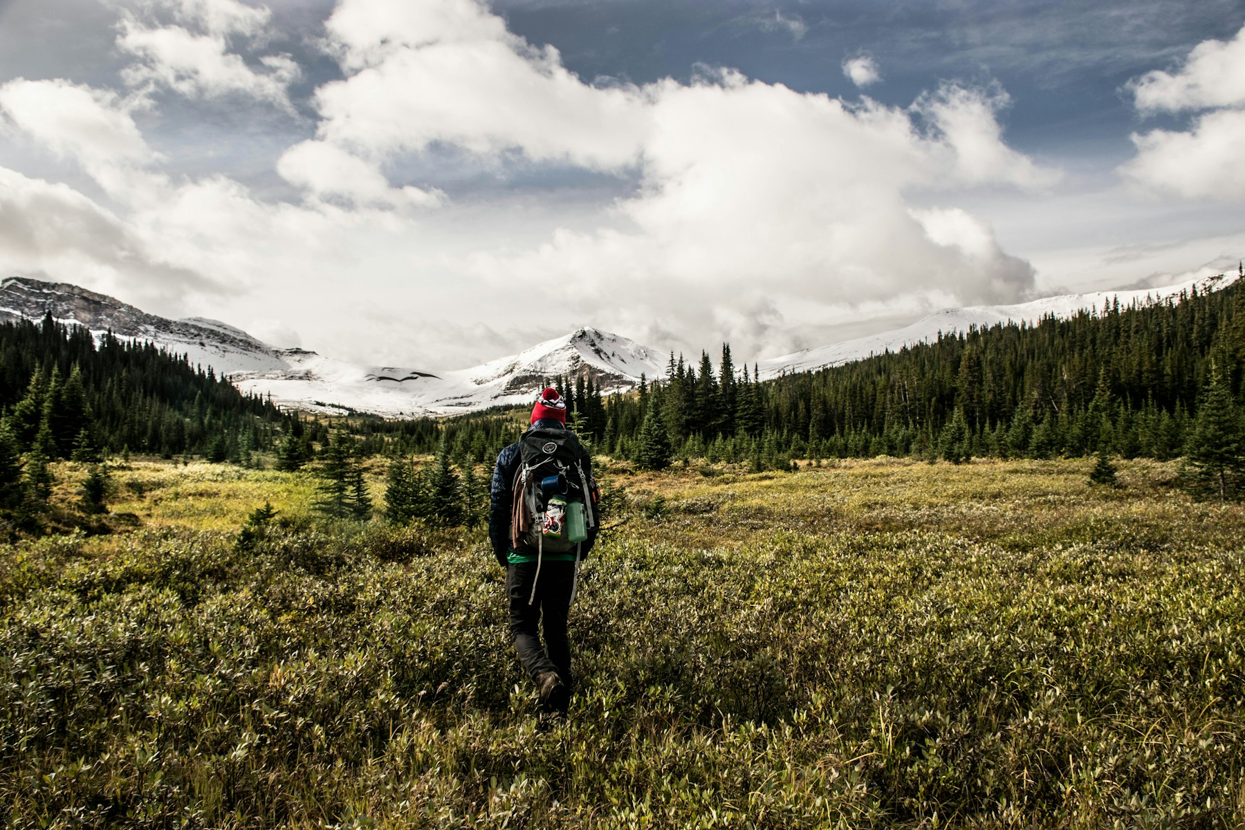 Hit The Trail In Jasper National Park 5 Hikes With Amazing Views