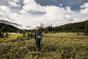 Hit The Trail In Jasper National Park: 5 Hikes With Amazing Views