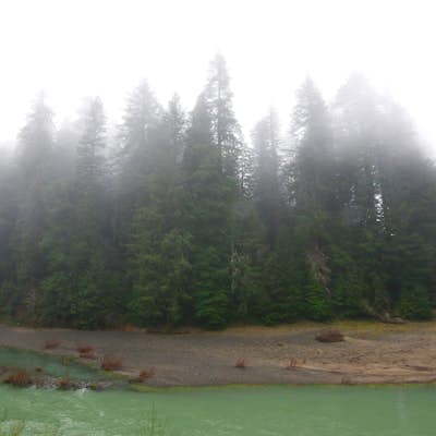 Hike the Humboldt Redwoods River Trail 