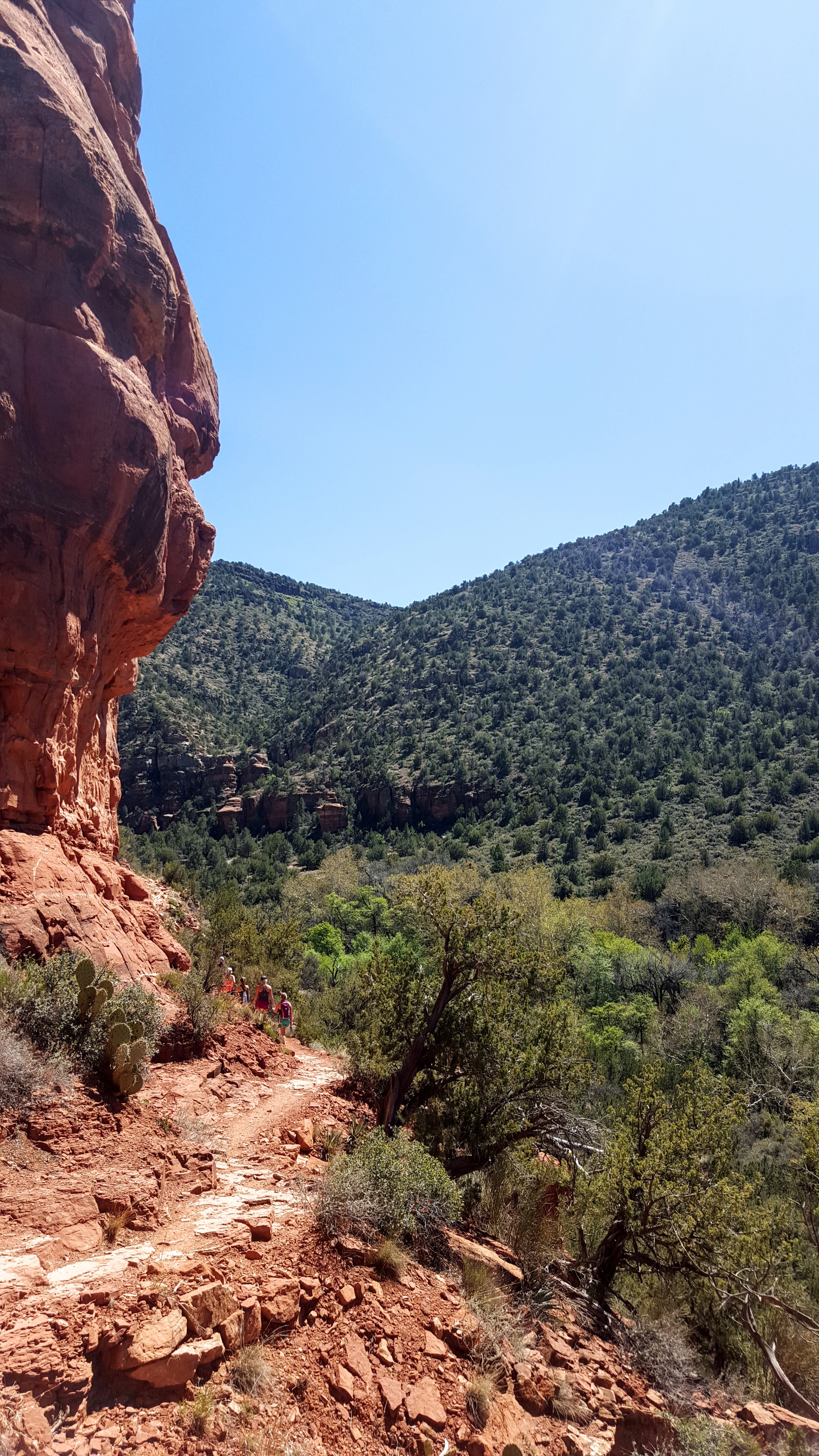 Wet Beaver Cliffs/Bell Trail 