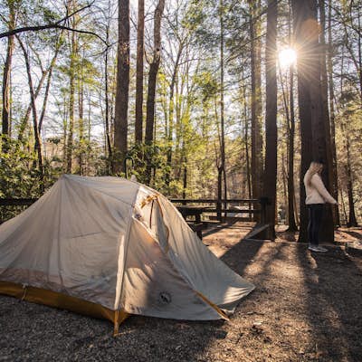 Camp at Vogel State Park