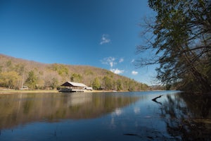 Camp at Vogel State Park