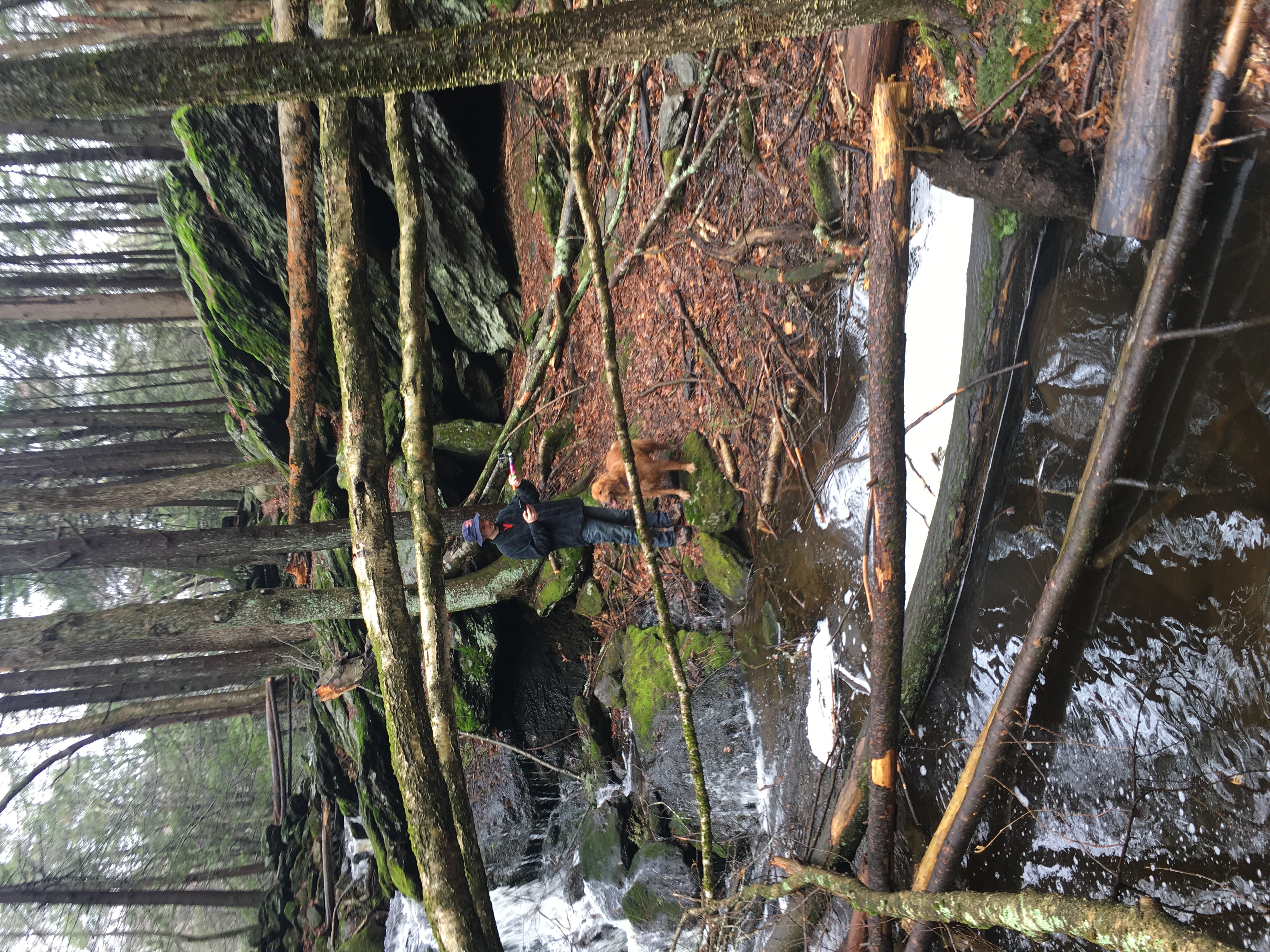 Hike Baileys Ravine at Ayer's Gap Preserve