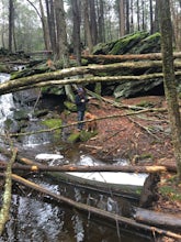 Hike Baileys Ravine at Ayer's Gap Preserve