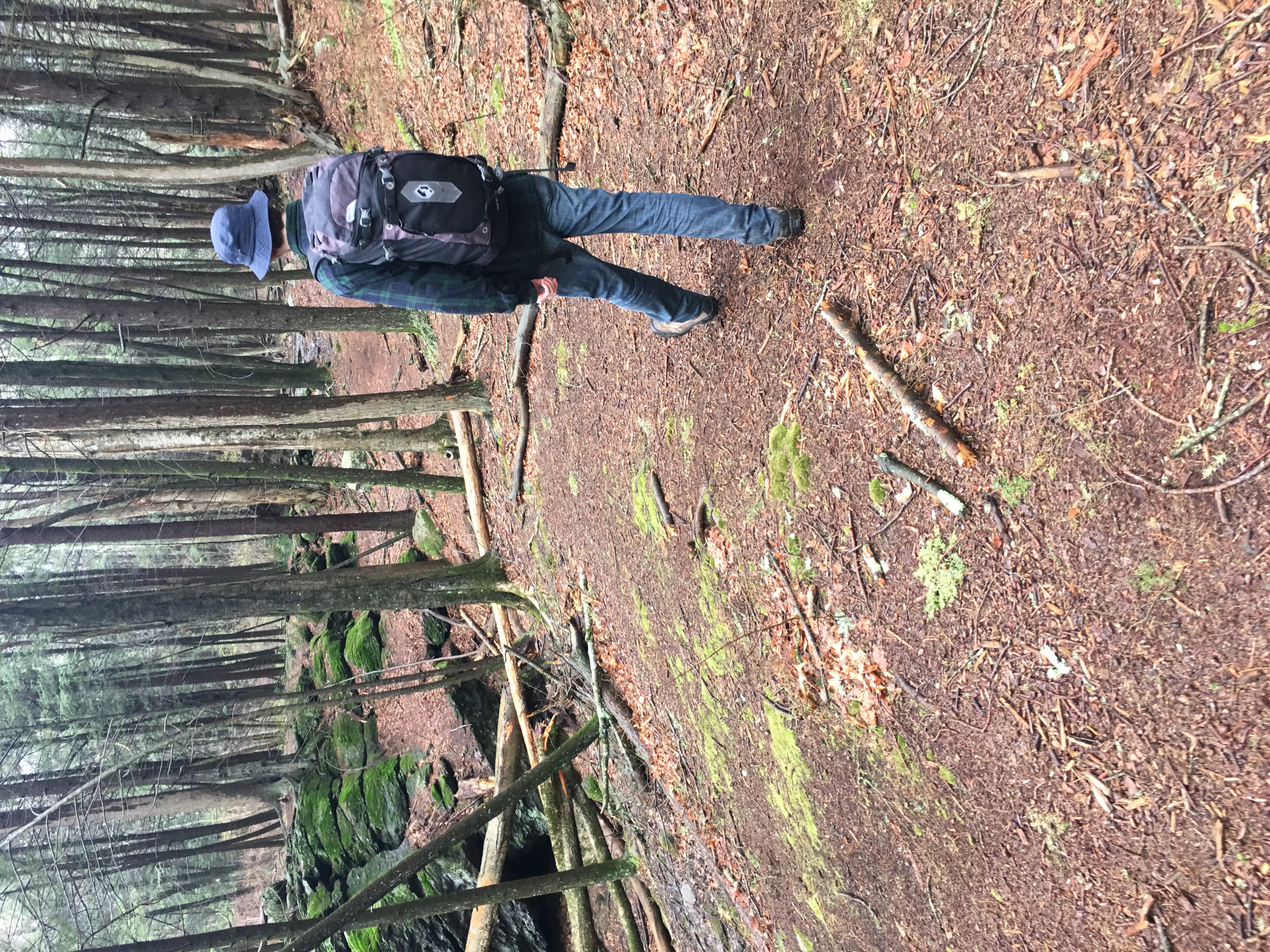 Hike Baileys Ravine at Ayer's Gap Preserve