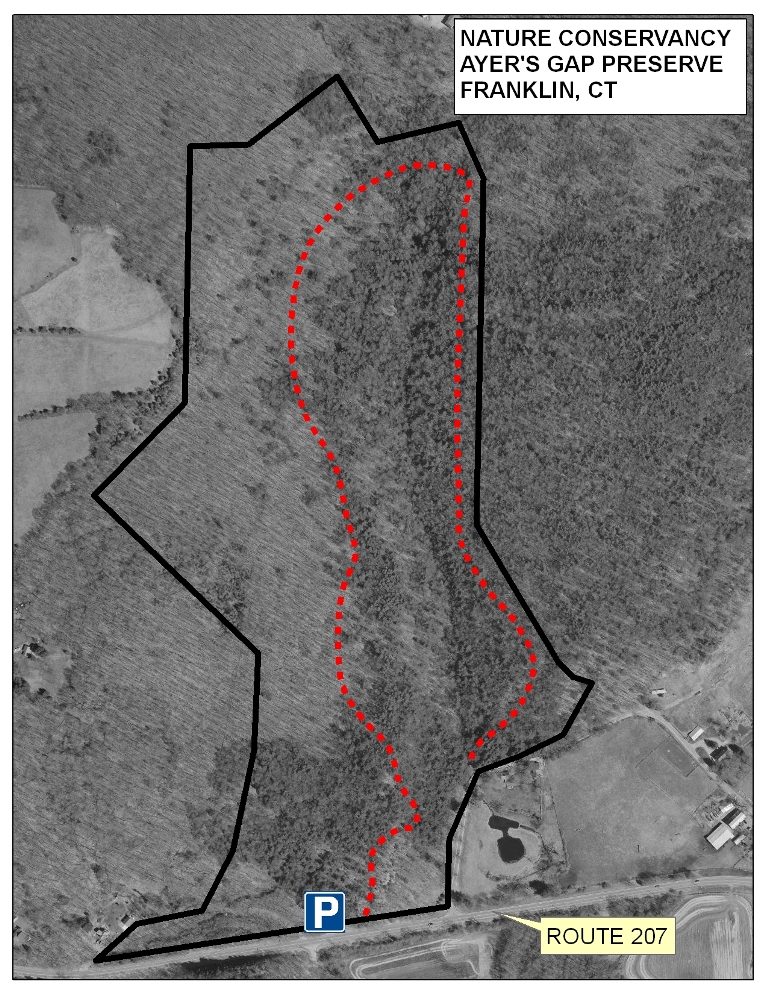 Hike Baileys Ravine at Ayer's Gap Preserve