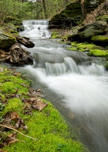 Hike the Golden Eagle Trail