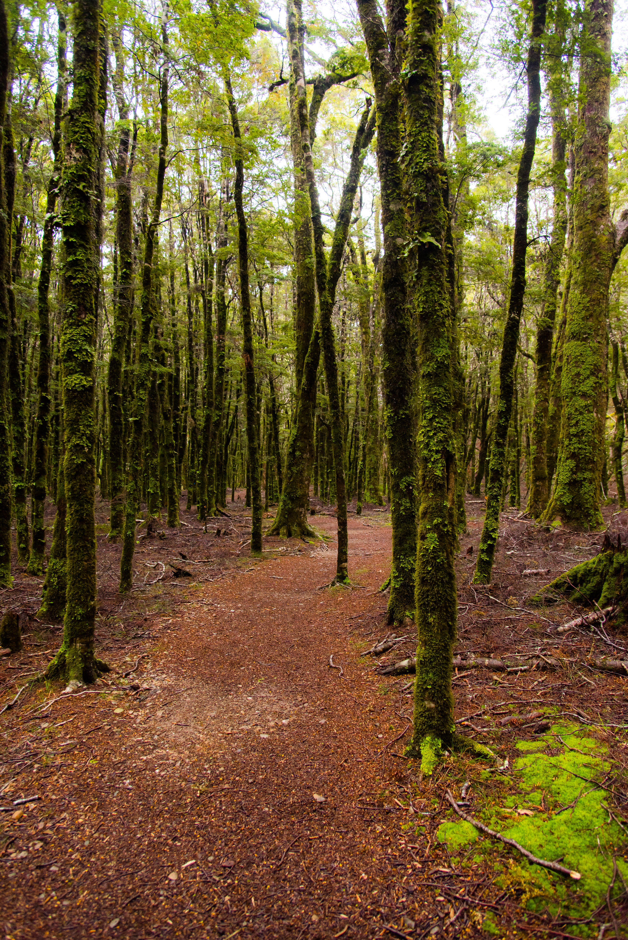 Hike to Harwood Hole