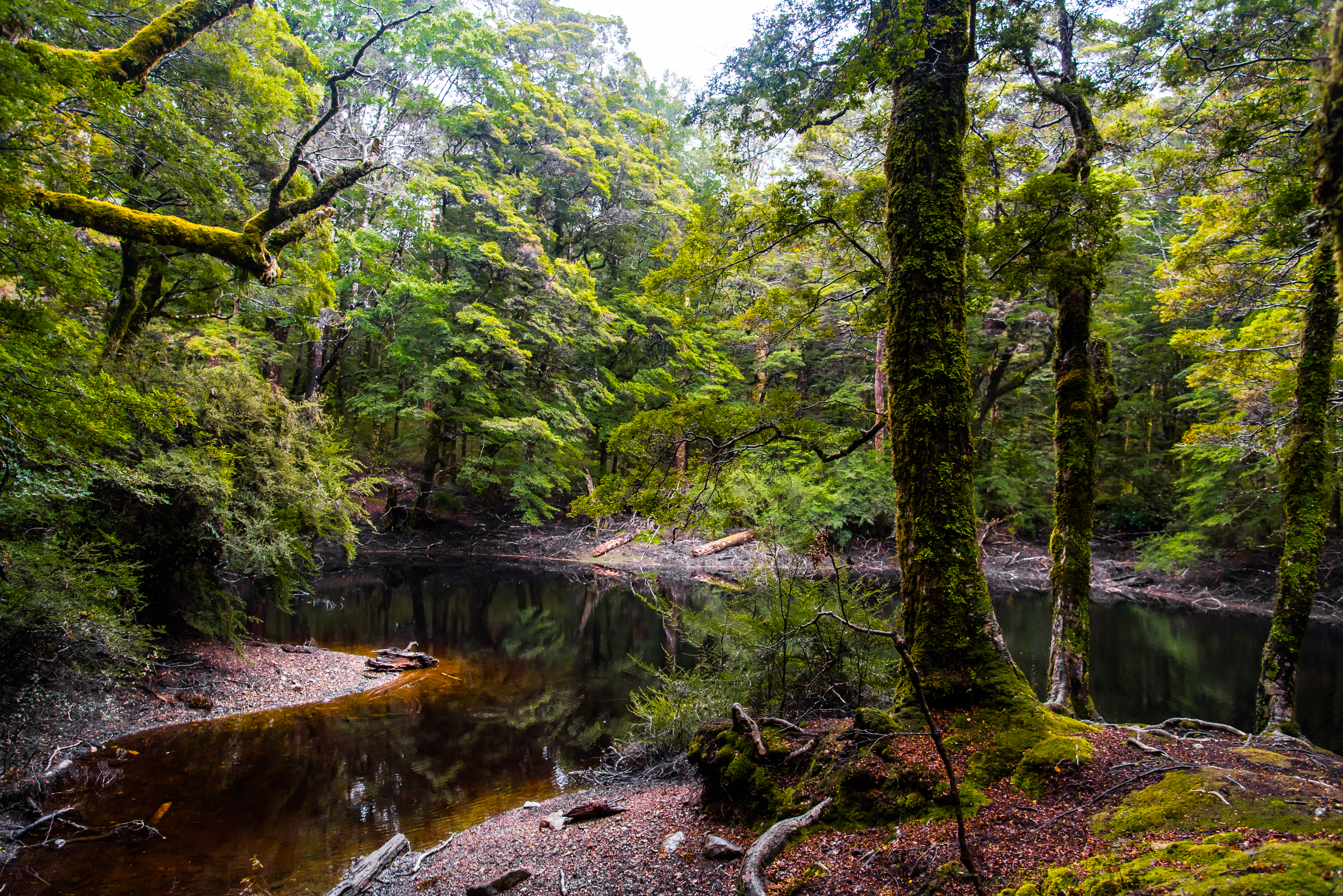 Hike to Harwood Hole