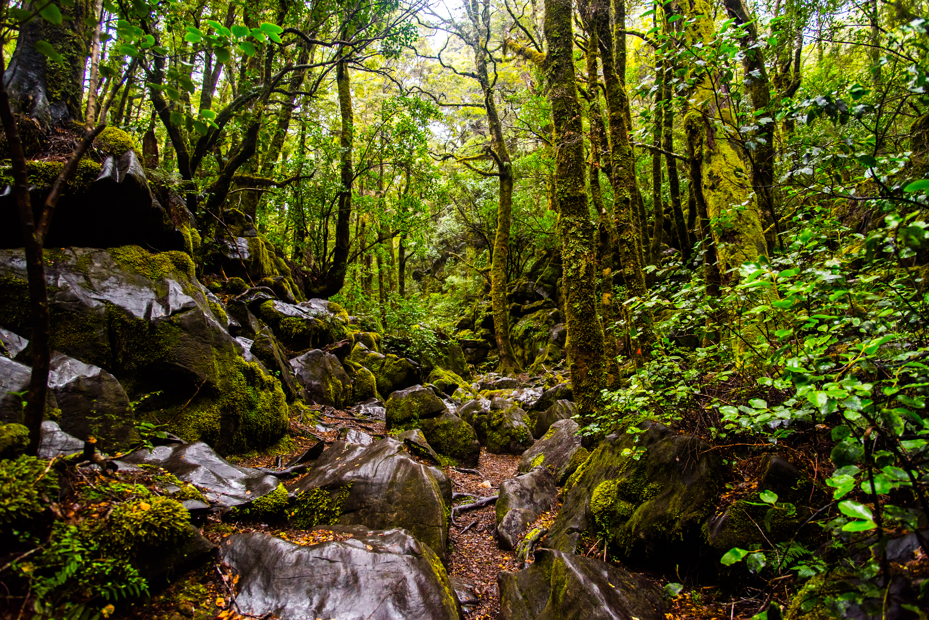 Hike to Harwood Hole
